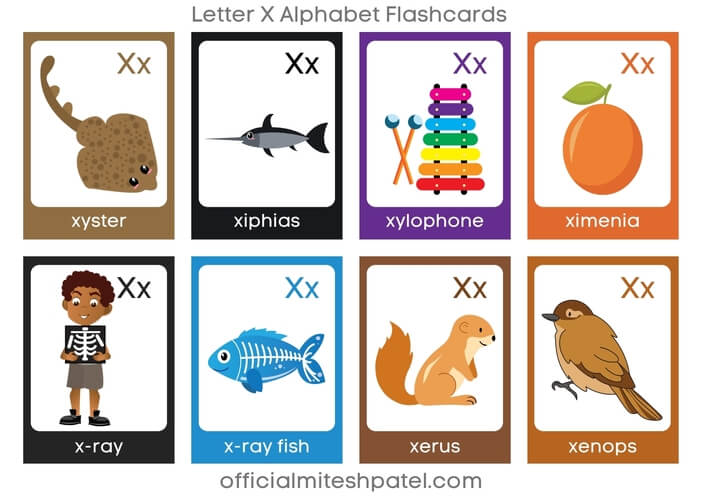 Free Printable Letter X Alphabet Flash Cards with words