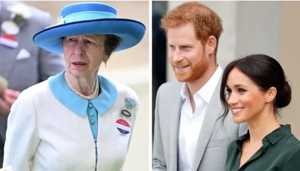 SHOCKING! Princess Anne Reveals Prince Harry and Meghan Markle Bullied ...