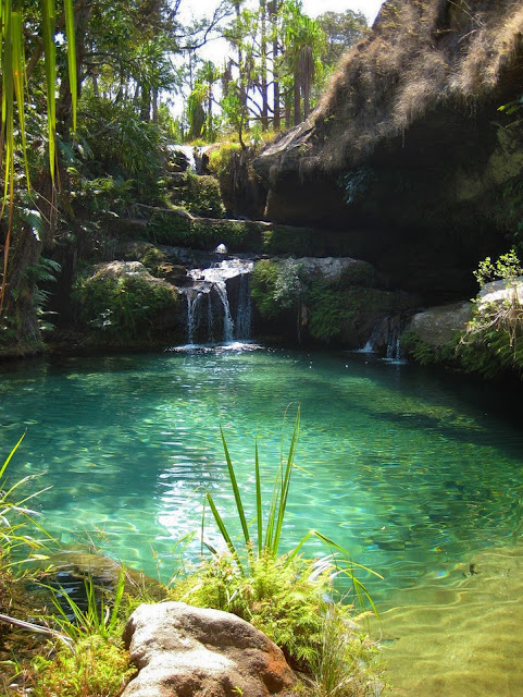 Pools of Isalo Park, Madagascar