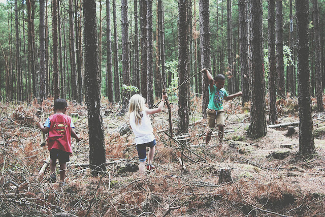 summer-story-kids-playing-in-the-forest-ringwood-todaymyway