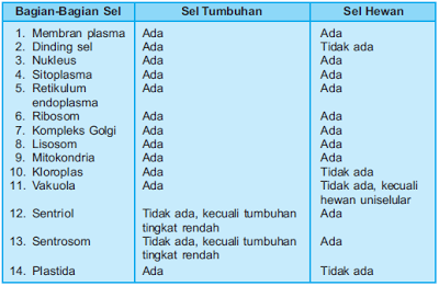  Perbedaan  Sel  Hewan  dan Sel  Tumbuhan  Dalam Bentuk Tabel 