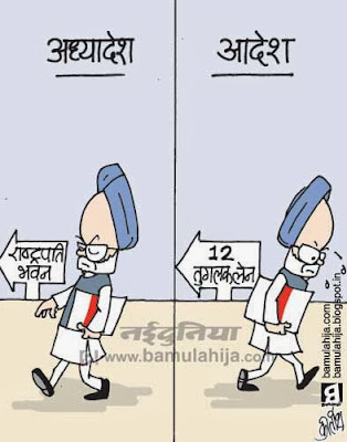 corruption cartoon, corruption in india, congress cartoon, parliament, rahul gandhi cartoon, president cartoon, manmohan singh cartoon, indian political cartoon