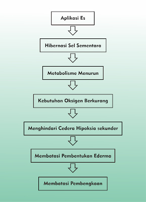 Artikel cara penanganan cedera angkel dengan metode RICE