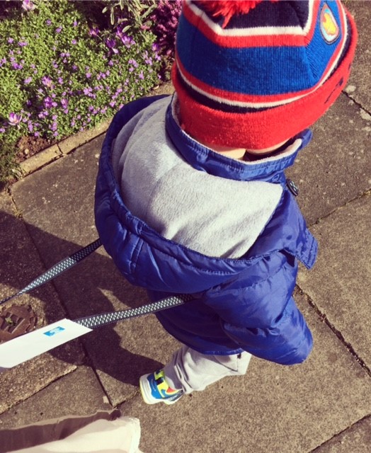 A little boy walking in whilst in a winter hat and coat whilst wearing reins