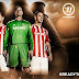 Premier League 2014/2015: Stoke City