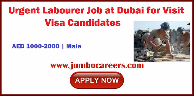 Labourer Job at Dubai