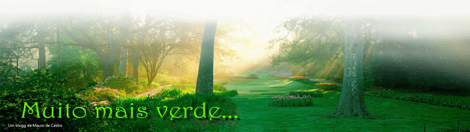 Muito mais verde