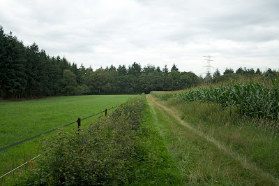 Locatie voormalig Ehrenfriedhof Zijpendaal, Schaarsbergen