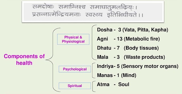 Definition of Health in Ayurveda