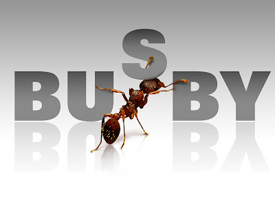 Busby SEO Test By Graphics Design By Nilo