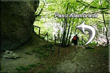 Paso alambrada