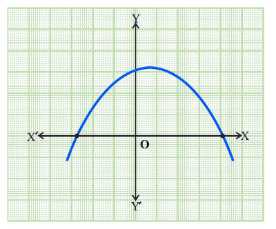 CBSE Class 10 Maths Lab Activity - Draw Quadratic Polynomial and Observe (#class10Maths)(#Class10MathsActivity)