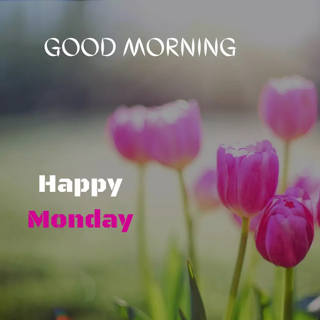 good morning monday images hd free download