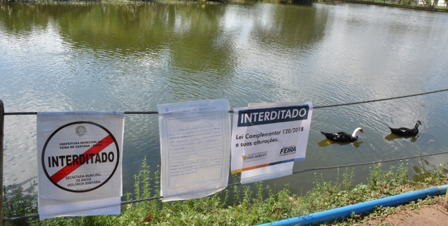 Vírus do cólera no Parque Erivaldo Cerqueira em Feira de Santana ameaça sobrevivência de pescadores