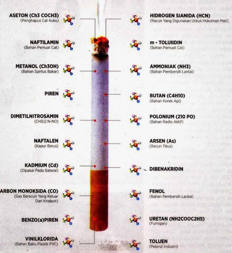 15 Kandungan Zat Dalam Rokok Dan Bahayanya Ihi