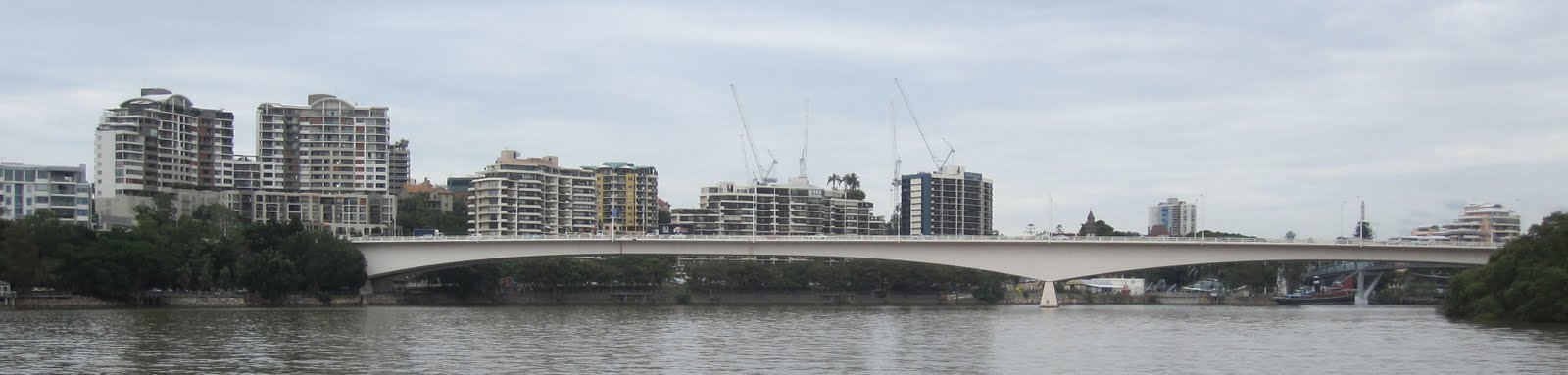 bull shark brisbane river. ull shark brisbane river.