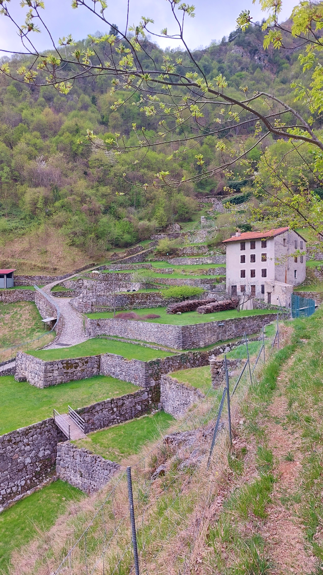 alta via del tabacco