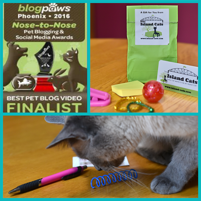 Some of the awesome kitty swag from other bloggers, like Island Cats and Sweet Purrfections