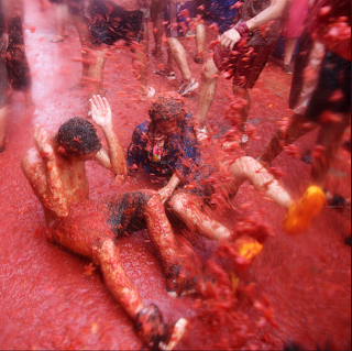 La Tomatina (Festival of Tomatoes) pictures