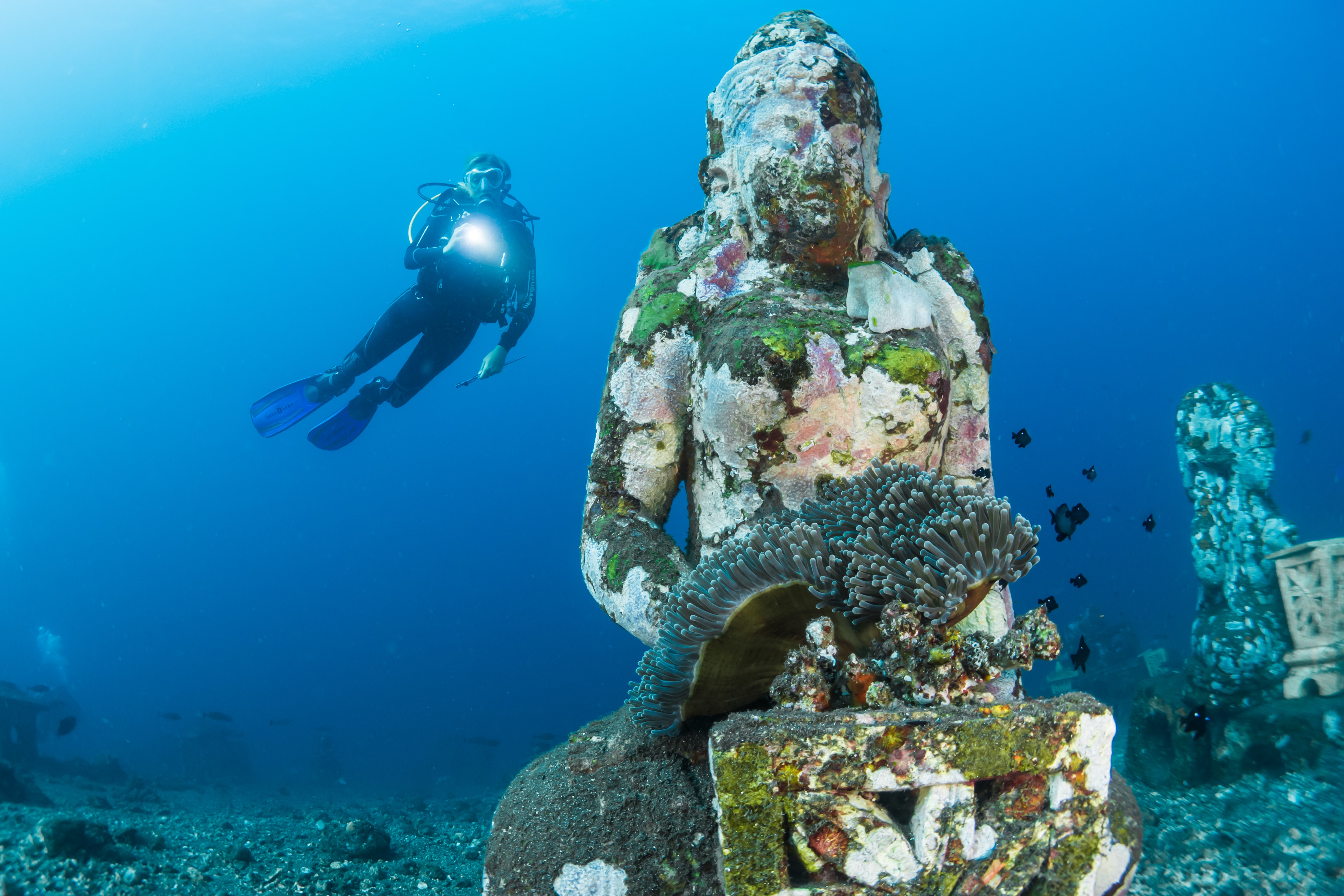 Diver Diving On Ocean Floor Near Statue Photo. Photo by : Sebastian Pena Lambarri (unsplash.com)