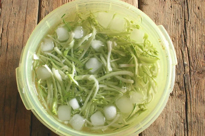 Puntarelle alla romana