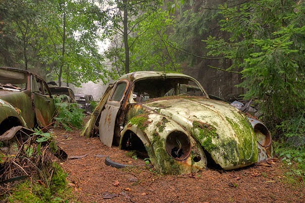 This Traffic Jam Was Stuck In Belgian Forest For 70 Years