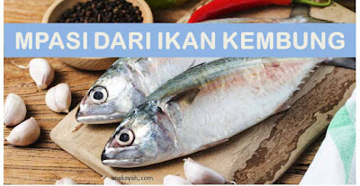 MPASI bayi 6 bulan bubur tepung dan ikan kembung