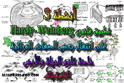 تحميل أنشطة 3: تطبيق قانون Hardy-Weinberg على انتقال بعض الصفات الوراثية للسنة الثانية باك , درس , ملخص , تمارين , امتحانات وطنية علوم الحياة والارض , علوم الحياة والارض , فروض علوم الحياة والارض , الثانية باك , بكالوريا , دروس اونلاين