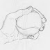 thumbnails