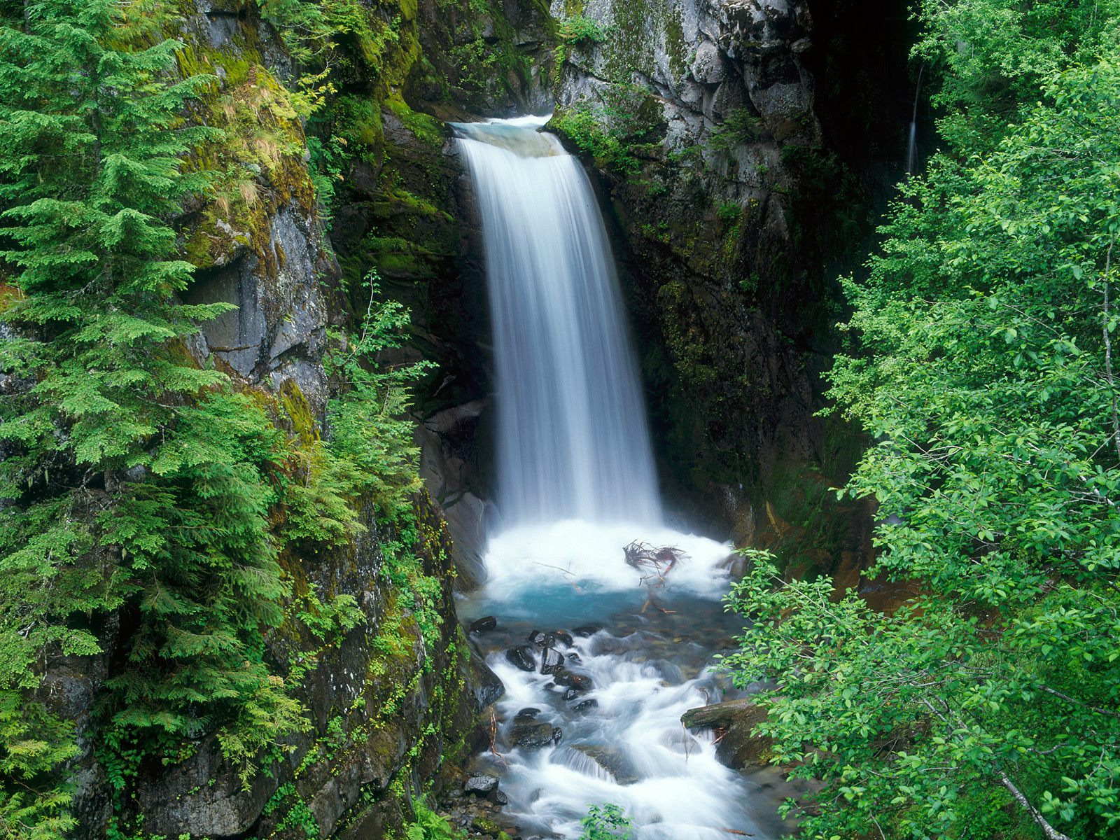 Wallpaper Pemandangan Air Terjun Bergerak Images Hewan Lucu Terbaru