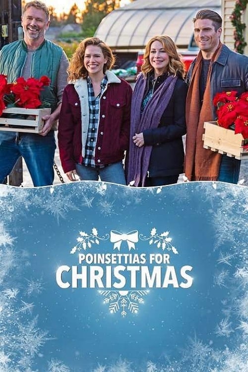[HD] Poinsettias for Christmas 2018 DVDrip Latino Descargar