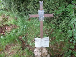 DSC00710