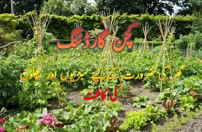 Kitchen gardening in Pakistan information in Urdu گھر میں سبزیوں اور پھلوں کی کاشت