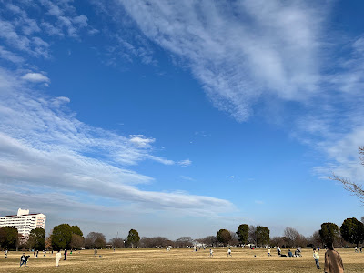 大島小松川公園