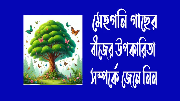 মেহগনি গাছের বীজের উপকারিতা সম্পর্কে জেনে নিন?