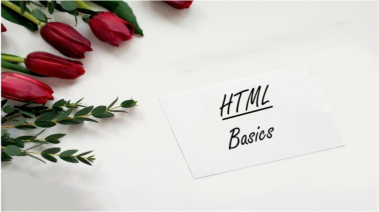 basics of html
