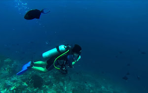 Pulau Bangka dibawah Ancaman Tambang (Catatan seorang Penyelam)
