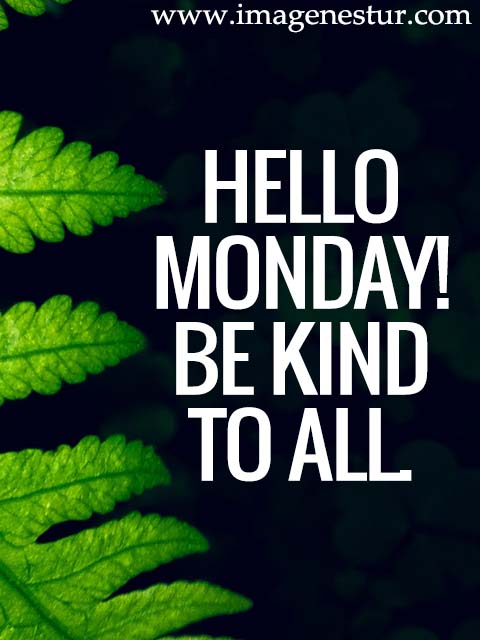 Hello Monday! Be kind to all.