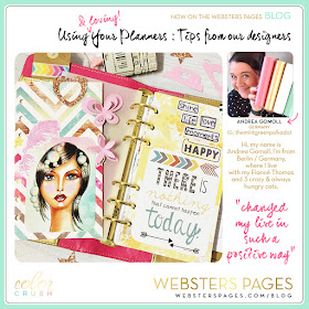 Color Crush planners de webster's pages