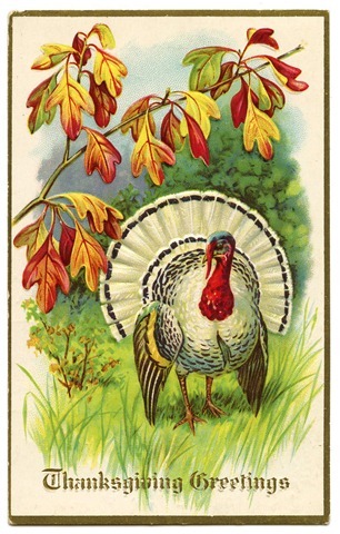 thanksgiving turkey vintage image graphicsfairy005 thanksgiving turkey vintage image graphicsfairy005