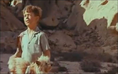 Dirkie Attacked By A Snake In Lost in the Desert