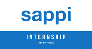 Sappi SA Internal Auditor Internship - CareersInfo 2020