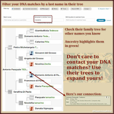 All it takes is a recognizable name or two, and you can tap into the family tree of your distant DNA match.