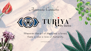 Ayurvedic cannabis by turiya