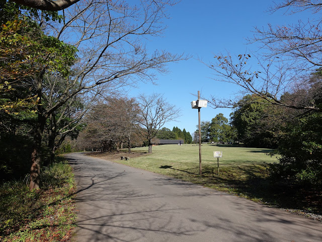 とっとり花回廊の芝生け広場