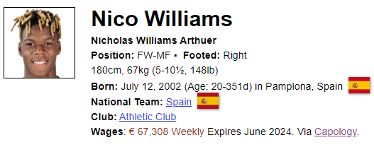 Nico Williams Scouting Report