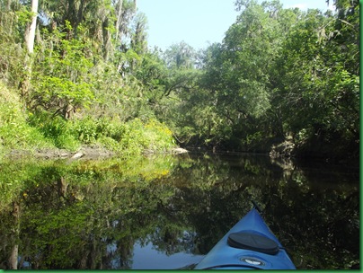 Lithia Site #38 043