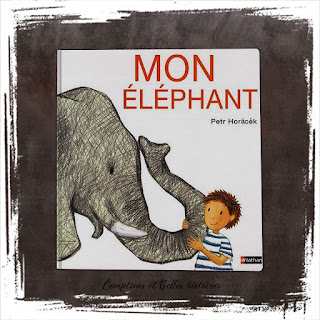 Mon éléphant, un livre pour enfant drôle, sur une amitié imaginaire, de Petr Horacek, éditions Nathan