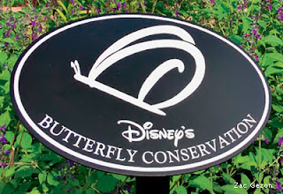 placa natureza disney