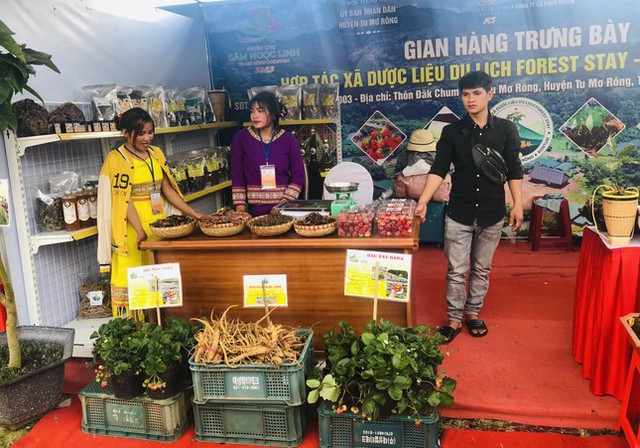 Chiêm ngưỡng củ sâm Ngọc Linh khủng được bán <a href=